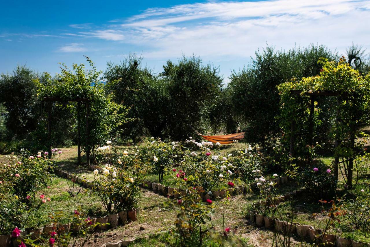 Orvieto Rocca Fiorita Hotel Exterior photo